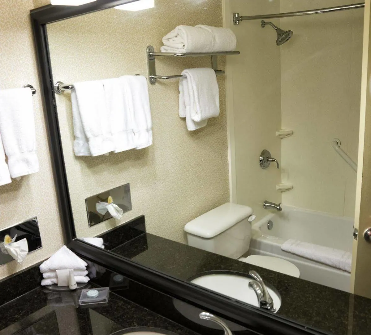 Hampton Inn By Hilton Winnipeg Downtown 3*,  Kanada